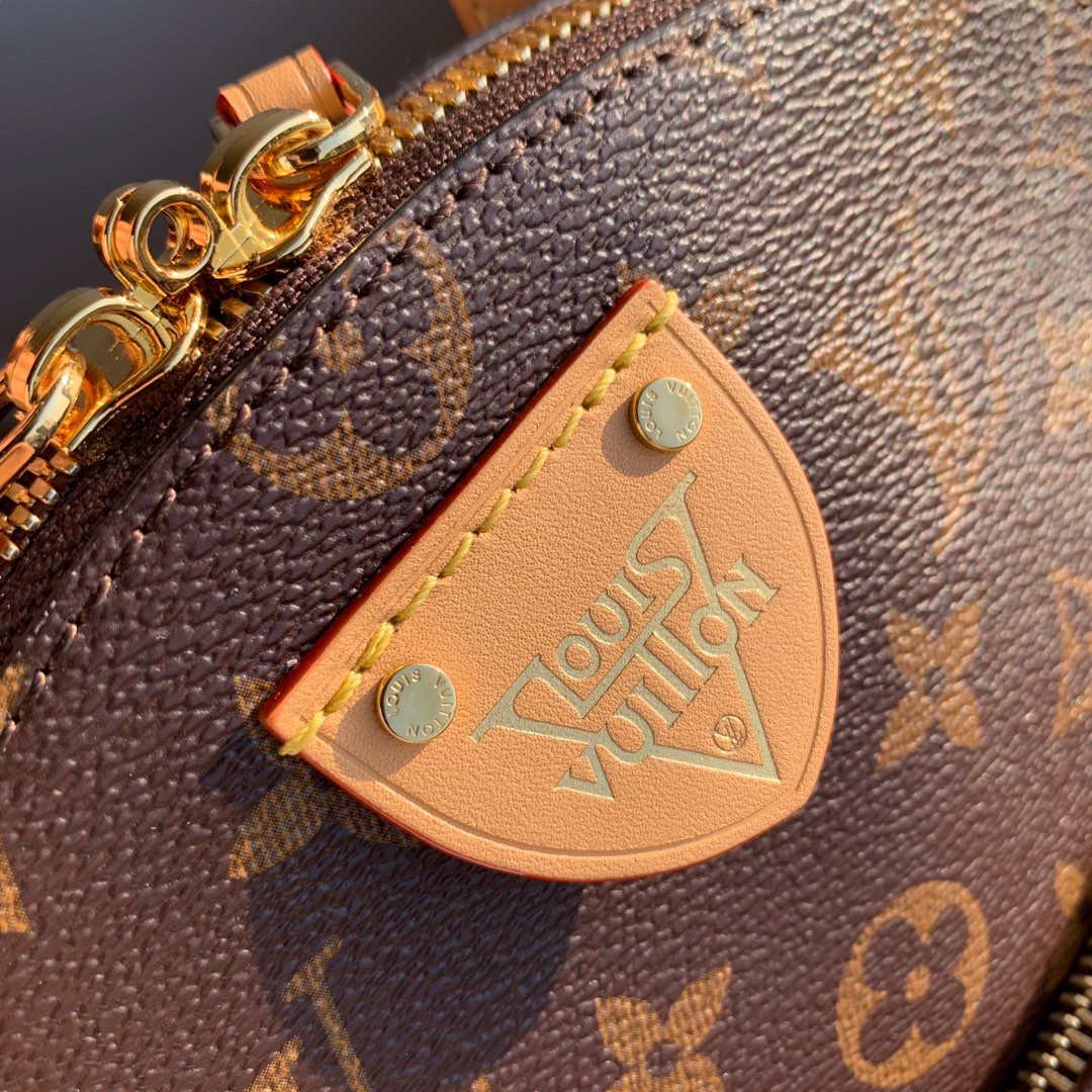 Louis Vuitton Moon Bag