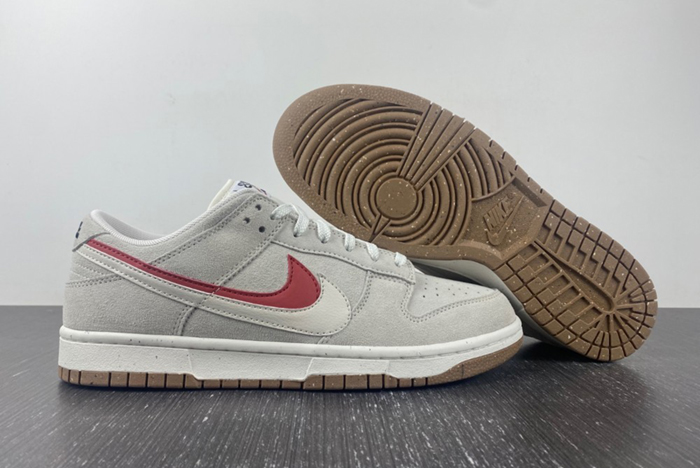 Nike Dunk Low SE “85”  DO9457-1002