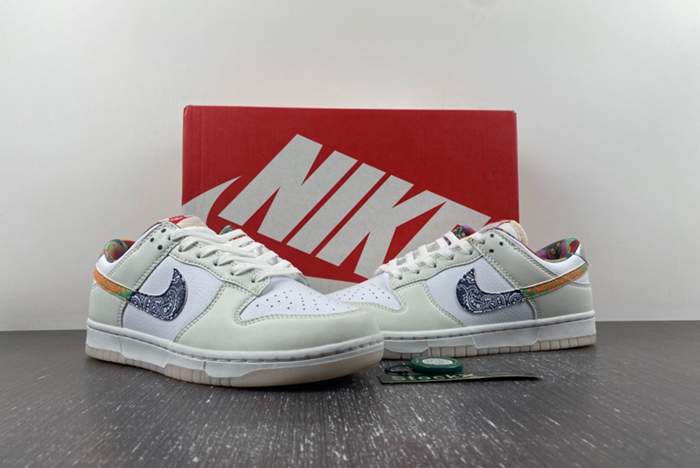 Nike Dunk Low GS FN8913-141