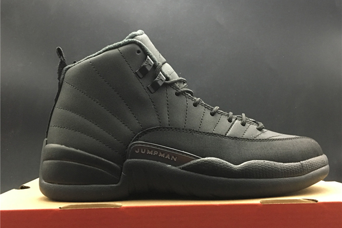 Air Jordan 12 WNTR 130690-601