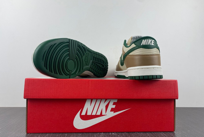 Nike Dunk Low Retro FB7160-231