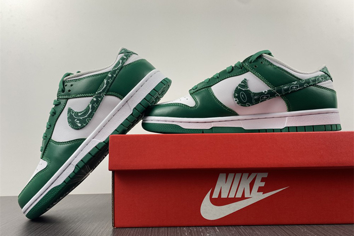 Nike Dunk Low SB DH4401-102