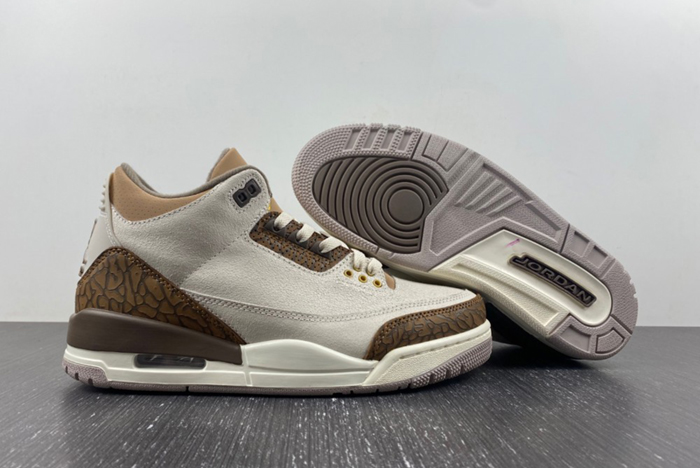 Air Jordan 3 “Palomino”  CT8532-102