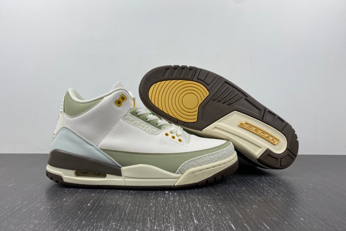 Air Jordan 3  DX6660-800