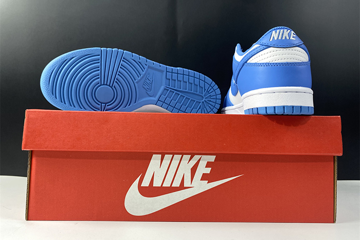 Nike Dunk Retro University Blue DD1391-102