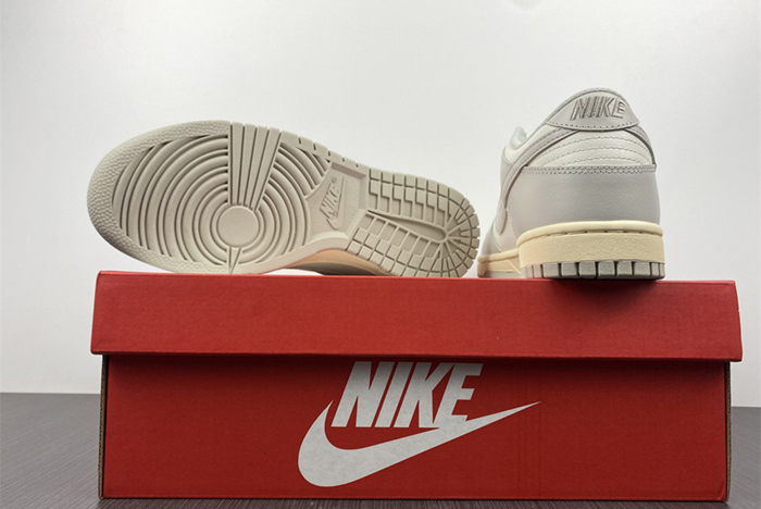 NIKE DUNK LOW  DD1503-107