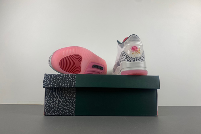 Air Jordan 3 “Wings” HM6993-100