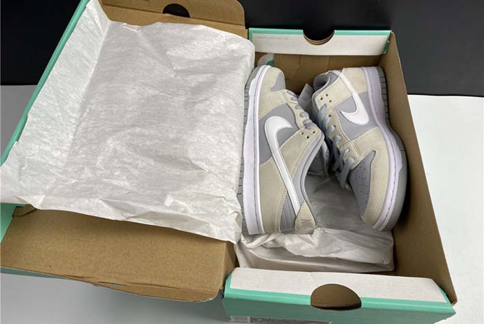 Nike SB Dunk Low TRD Summit White 2020 AR0778 110