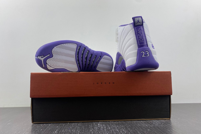 Nike Air Jordan 12  CT8013-150
