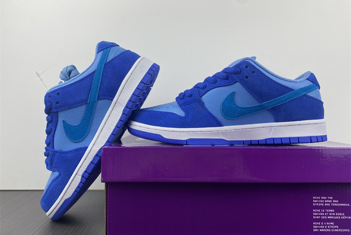 Nike SB Dunk Low Pro  DM0807-400