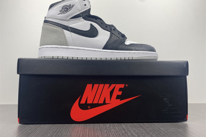 AIR JORDAN 1 RETRO HIGH OG 575441-108