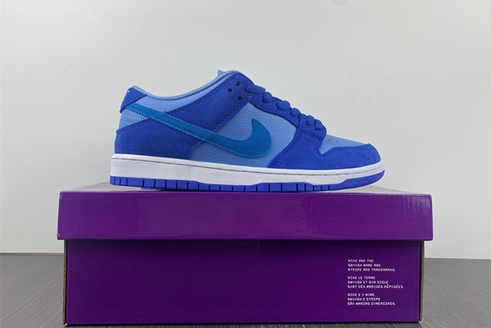 Nike SB Dunk Low Pro  DM0807-400