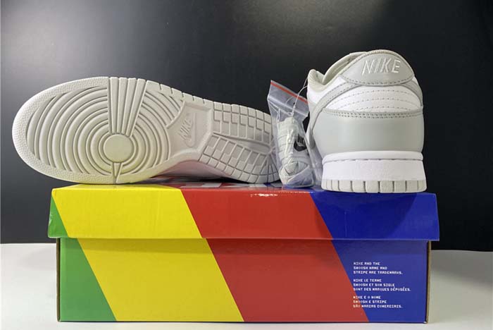 Nike SB Dunk Low Grey fog DD1391-103