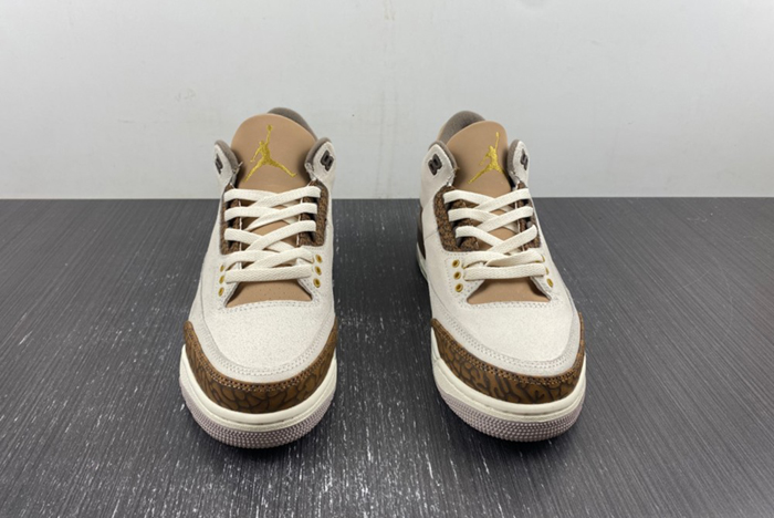 Air Jordan 3 “Palomino”  CT8532-102