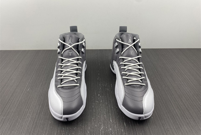 Air Jordan 12 STEALTH  CT8025-610