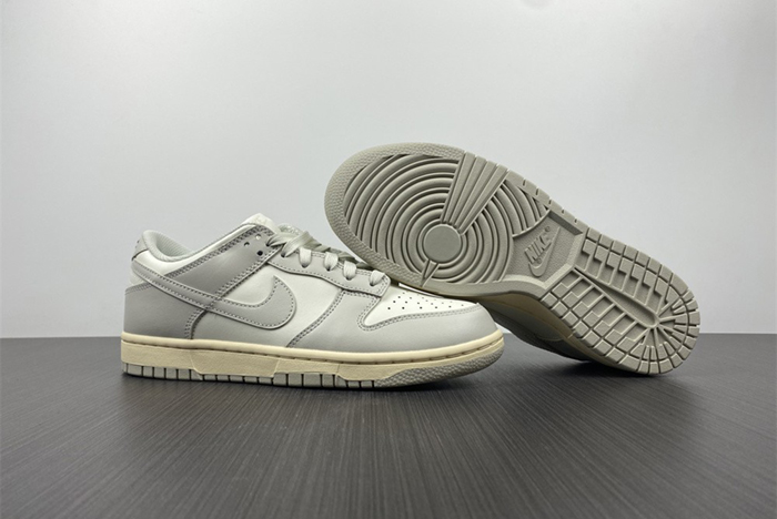 NIKE DUNK LOW  DD1503-107