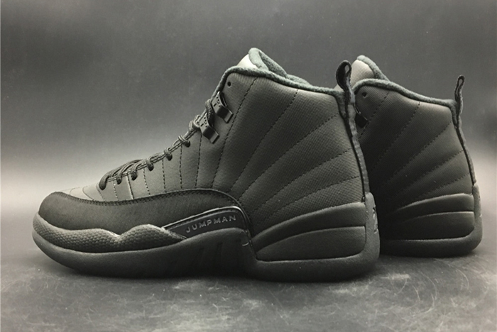 Air Jordan 12 WNTR 130690-601