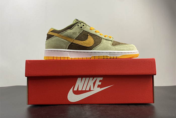 Nike Dunk Low SE DH5360