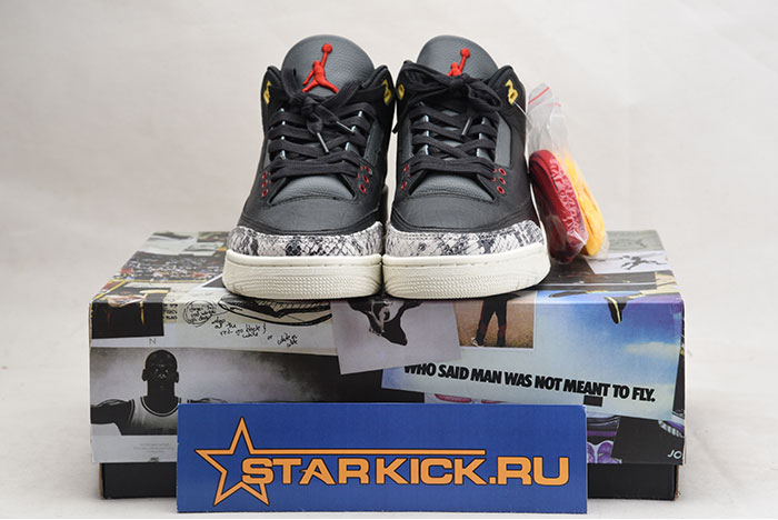 Air Jordan 3 SE “Animal Instinct 2.0” CV3583-003