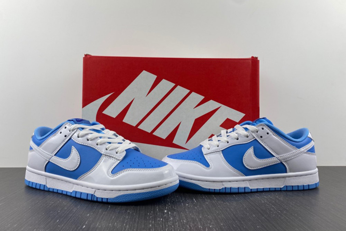 NIKE Dunk Low ESS DJ9955-101
