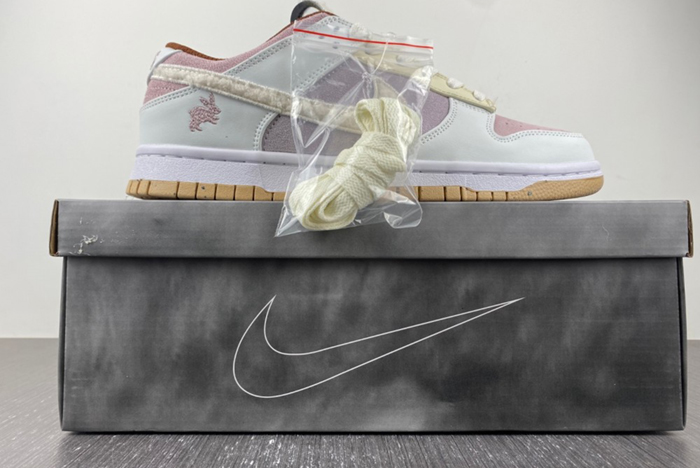 Nike Dunk Low FD4203-211