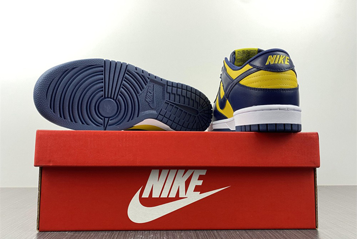 Nike SB Dunk Low Michigan DD1391-700
