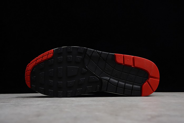 Nike Air Max 1 Premium 875844-007