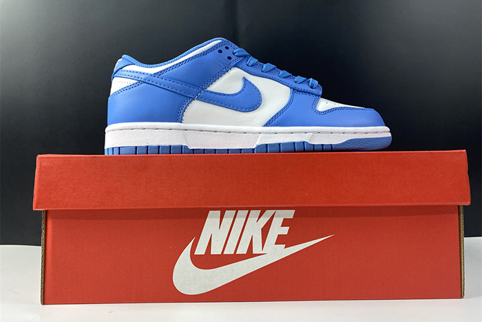 Nike Dunk Retro University Blue DD1391-102