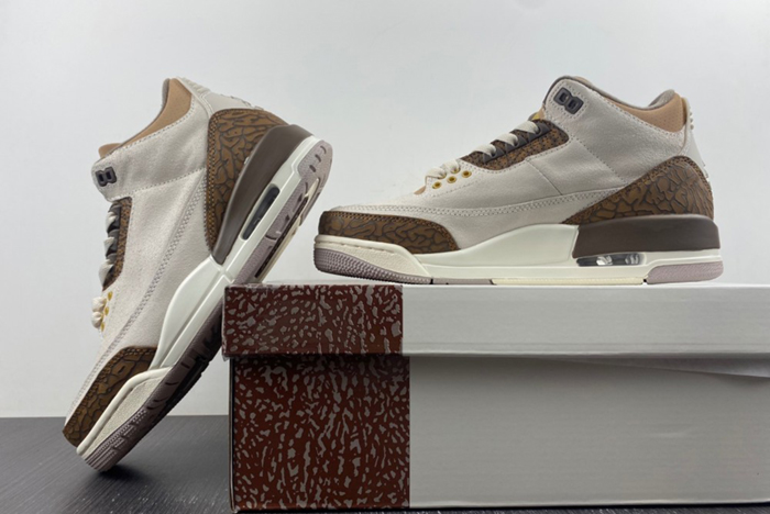 Air Jordan 3 “Palomino”  CT8532-102