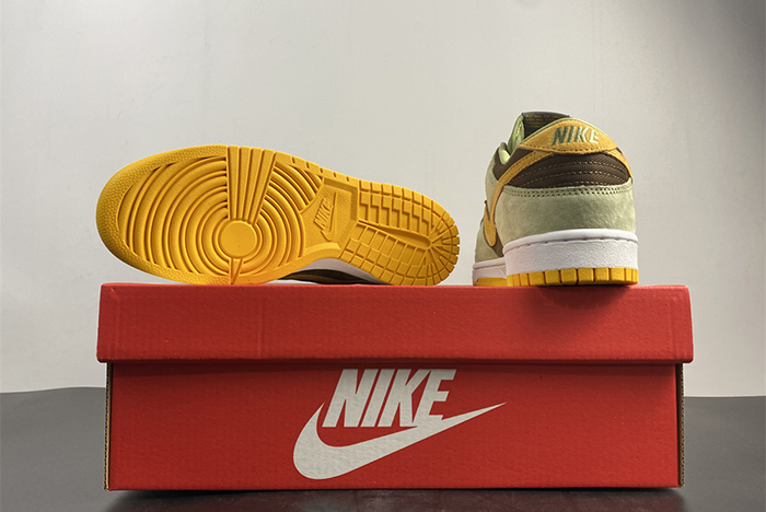 Nike Dunk Low SE DH5360
