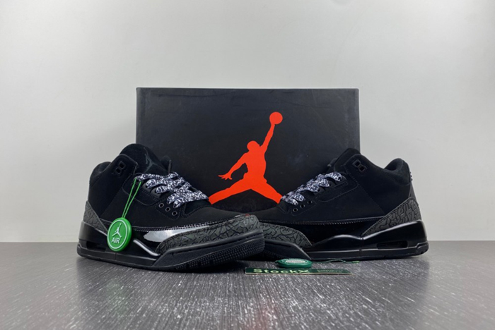Air Jordan 3 CK9246-168