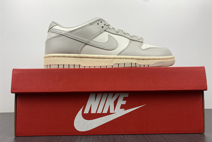 NIKE DUNK LOW  DD1503-107