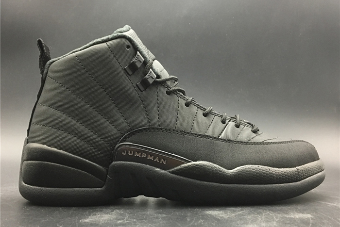 Air Jordan 12 WNTR 130690-601