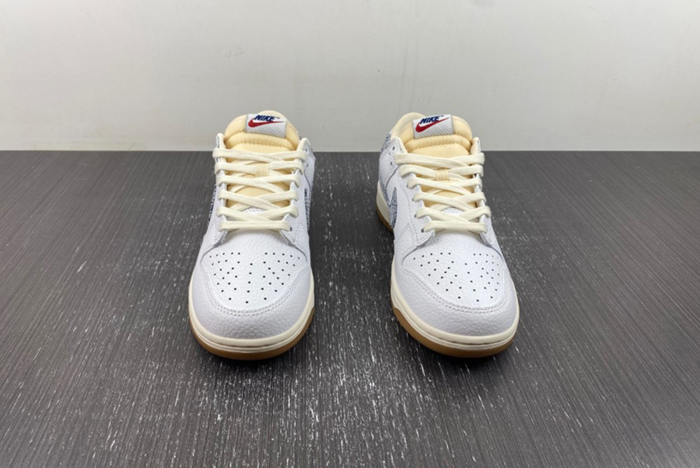 Nike Dunk Low「Washed Denim」FN6881-100