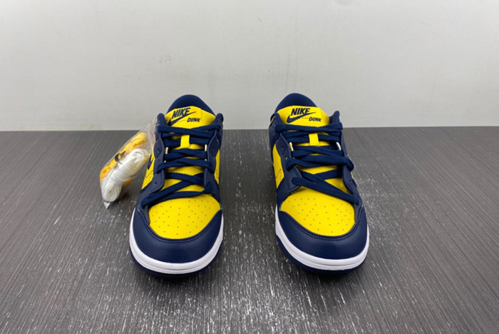 Nike Dunk Low Disrupt 2 DV4024-400