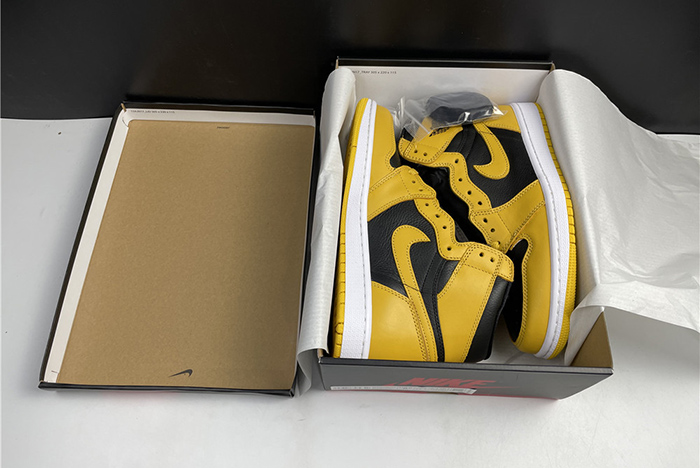 Air Jordan 1 High OG Pollen 555088-701