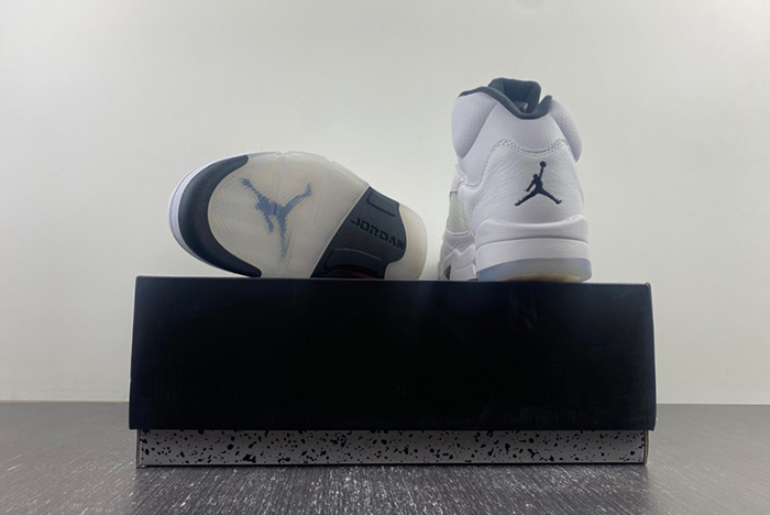 Air Jordan AIR JORDAN 5 RETRO 