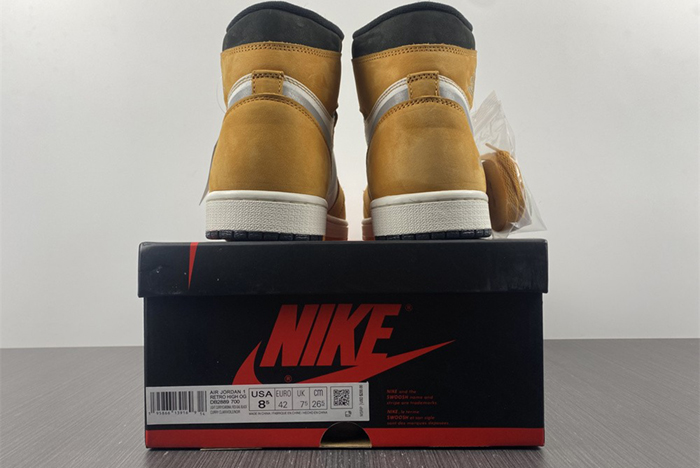 Air Jordan 1 Element  DB2889-700