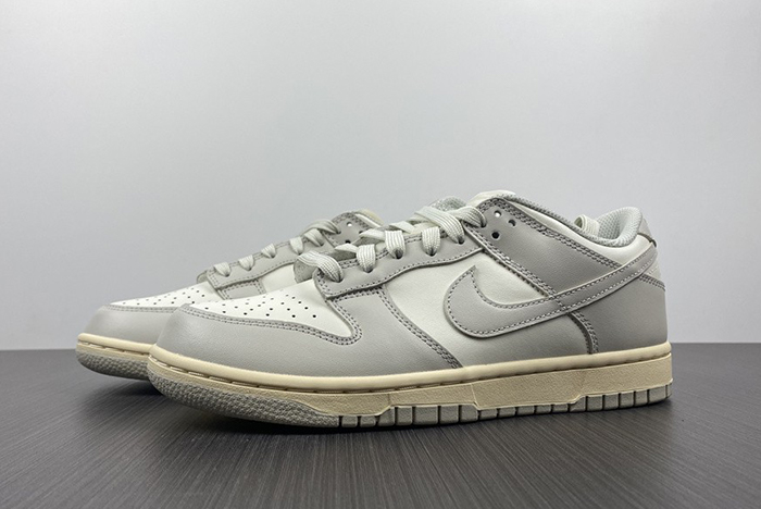 NIKE DUNK LOW  DD1503-107