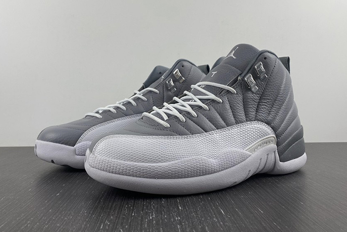 Air Jordan 12 STEALTH  CT8013-015