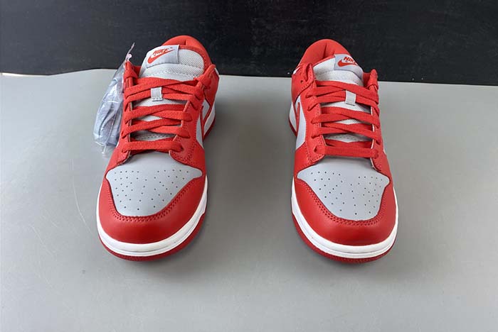 Nike Dunk Low SB CU1726-600