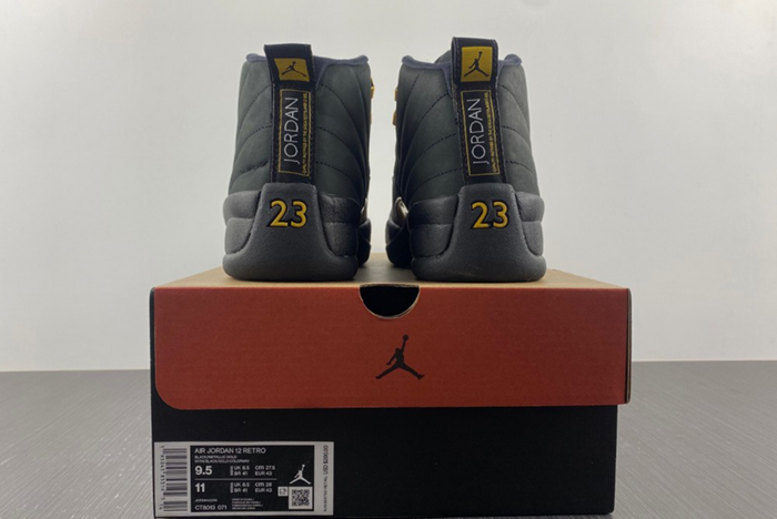 Air Jordan 12 Black Taxi  CT8013-071