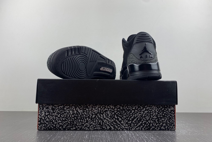 Air Jordan 3 CK9246-168
