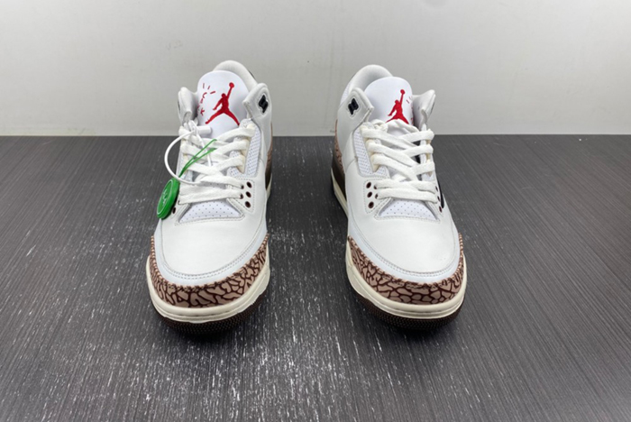 Travis Scott x Air Jordan 3 136064-168