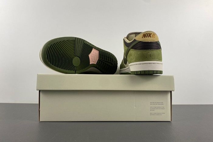 Yuto Horigome x Nike SB Dunk Low HF8022-300