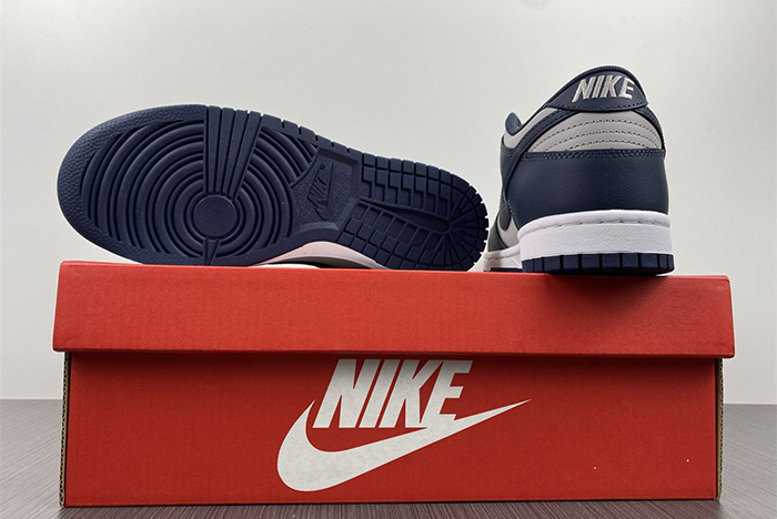 Nike Dunk Low SE  DD1391-003