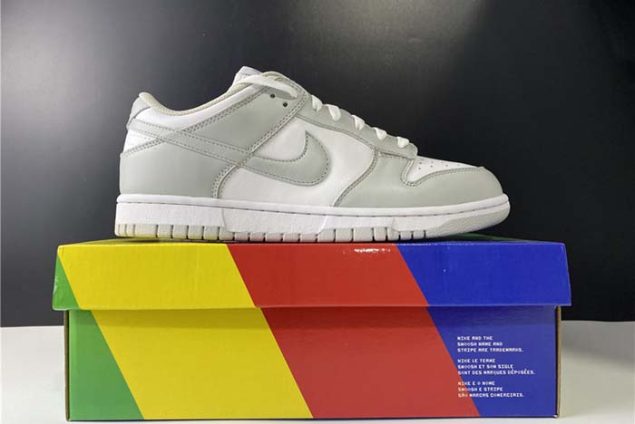 Nike SB Dunk Low Grey fog DD1391-103