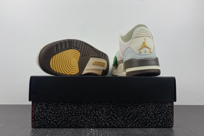 Air Jordan 3  DX6660-800