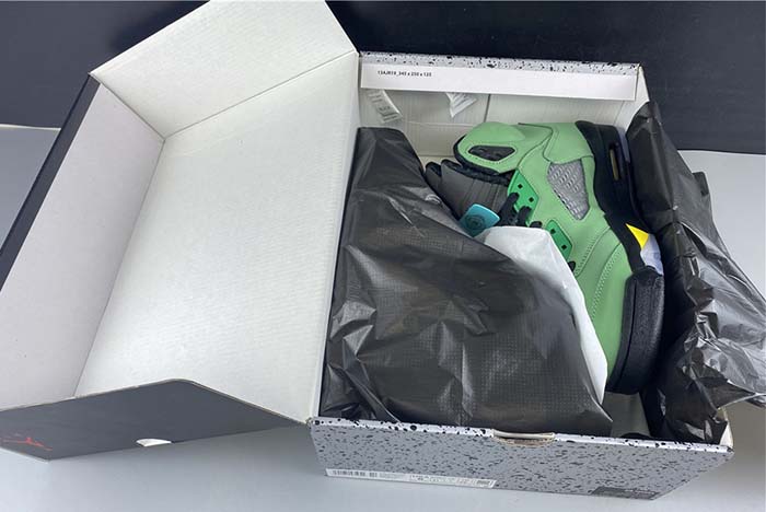 Air Jordan 5  “Oregon” CK6631-307