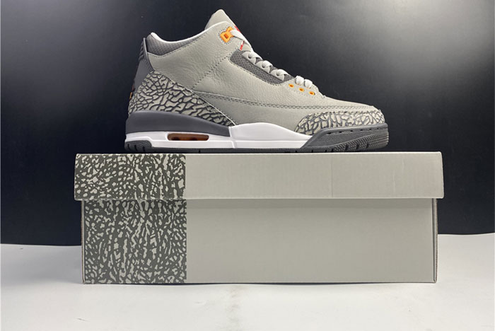 Jordan 3 Retro Cool Grey (2021) CT8532-012